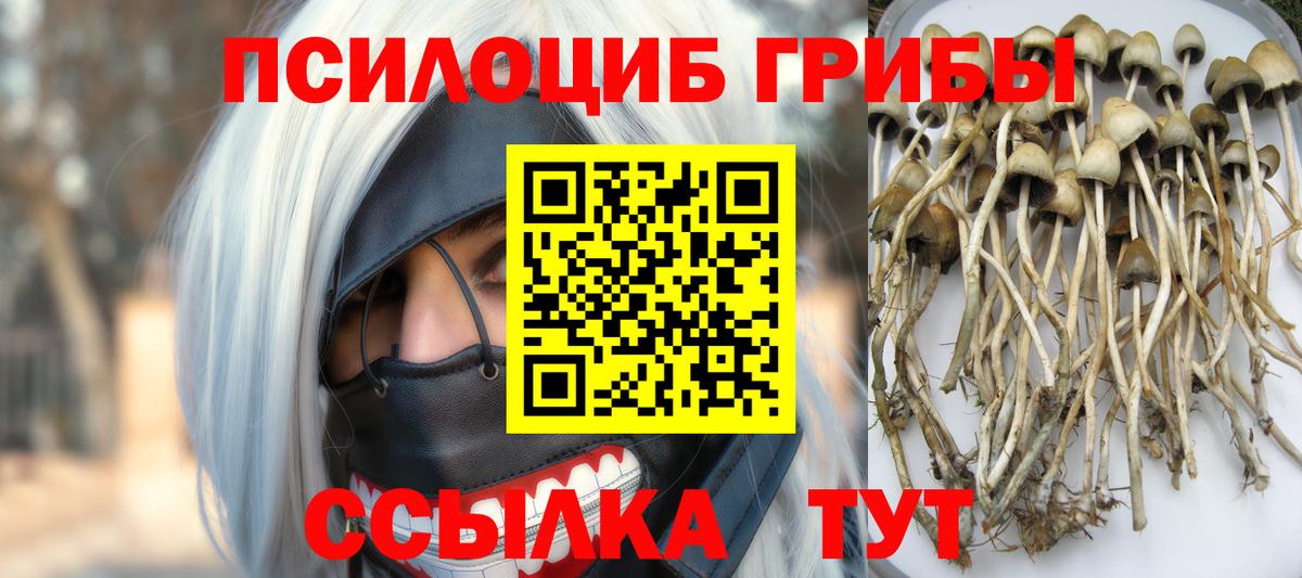 Псилоцибиновые грибы Psilocybine cubensis  Псилоцибиновые грибы Magic Shrooms  Вход с VPN  Зеленодольск 